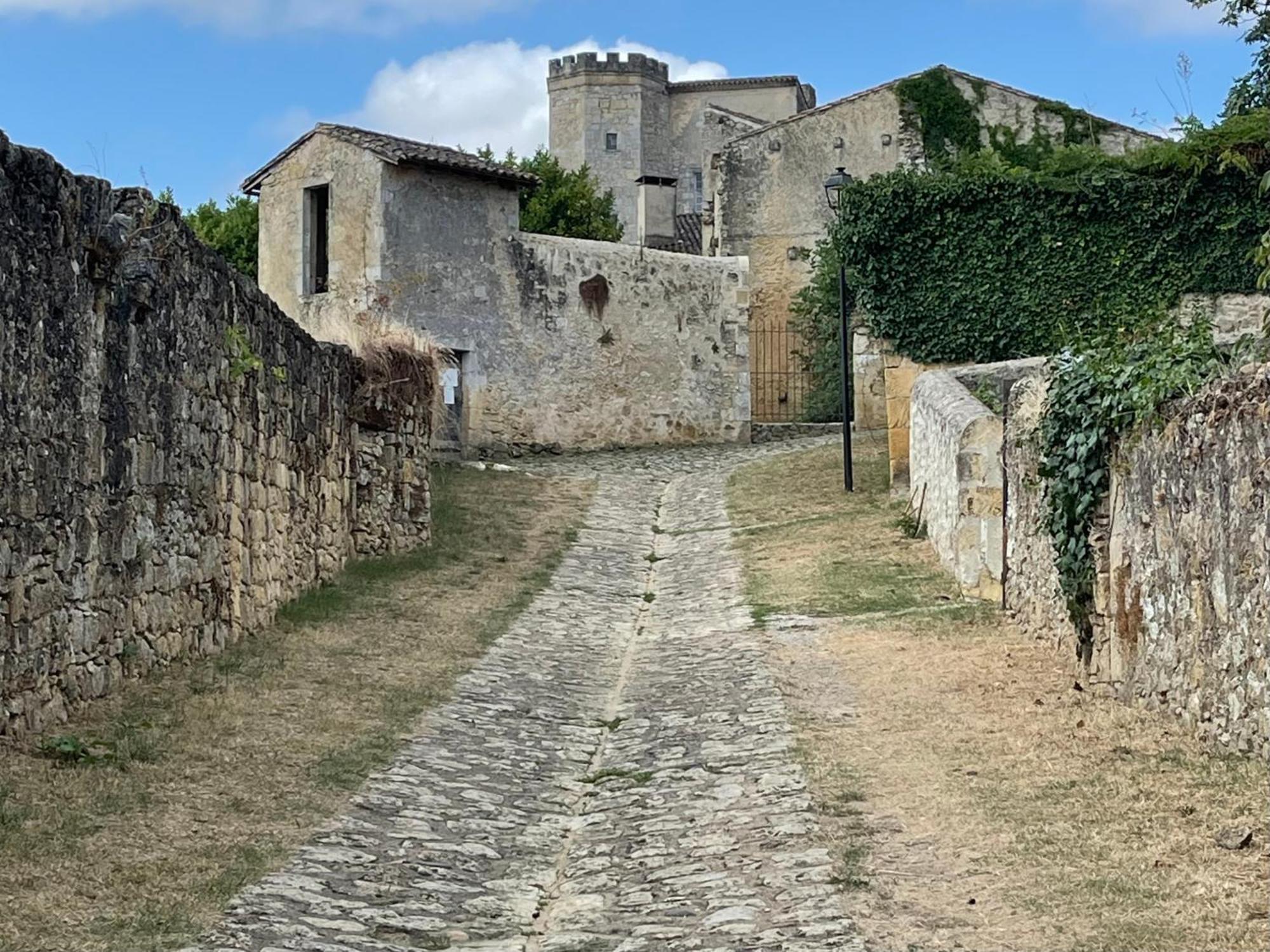 House In A Medieval Village Saint-Macaire エクステリア 写真